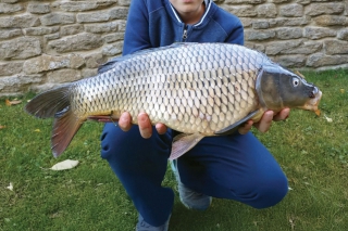 Lovec: Jakub Ľudvík, Spišská Nová Ves