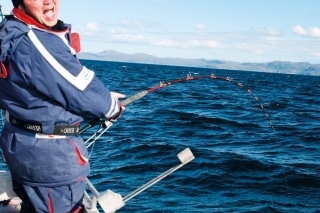 Sørøya - vitajte v rybej ríši 2