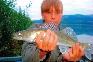 RICCO SKOMBAR,
VIEDEŇ,11 ROKOV