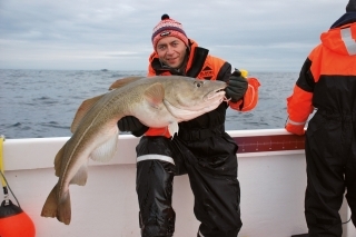 Treska obyčajná - 115 cm.