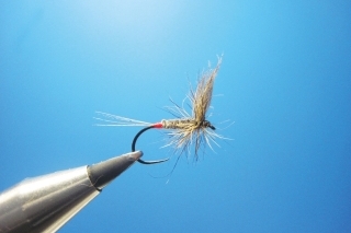 CDC Emerger 3