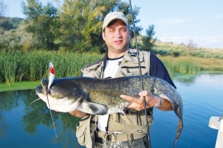 Davidov sumec ulovený na prívlač.