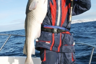 Treska obyčajná 18 kg.