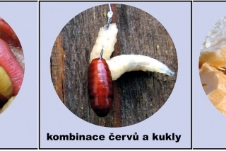 Nástrahy na podustvy