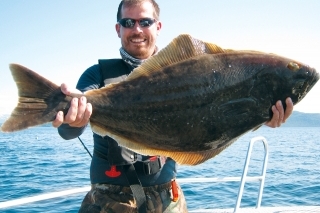 Halibut - 90 cm.