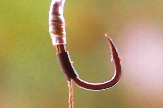 Osvedčená zostava do chladnej vody,  WG X veľ.8-10 v kombinácii s 25 SuperNatural a 20 lb Ntrap. V extrémne čistej vode používam radšej FLC vlasec. Nástraha je obalená pastou vyrobenou z rozomletých boilies.