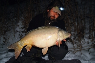 Tento kapor sa kŕmil boilies, ktoré boli vyrobené zo zmesi s RM obsahujúce Robin Red a Red Fish múčku, ale aj iné “nevhodné“ atraktory ako rybí olej.