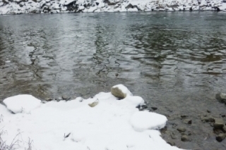 Zimná plávaná na Hornáde