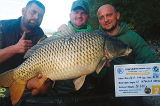 Ďalšia zdolaná ryba pre Orthodox Carp.