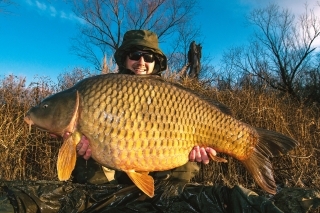 Nádherná, šíravská mamina, vážiaca 22,2 kg.