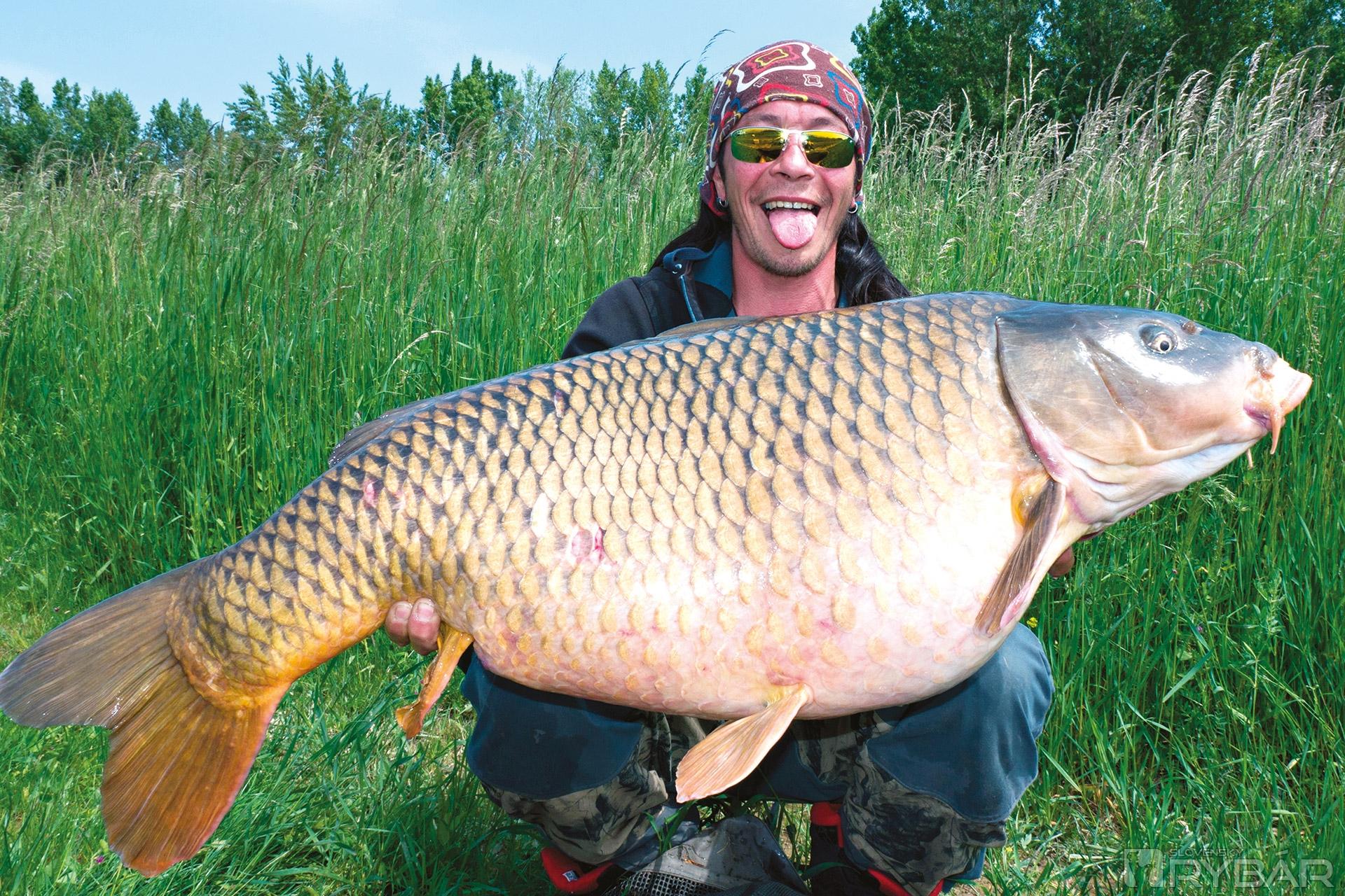 Radosť z takéhoto macka - 23,40 kg - má rôzne podoby.