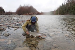 Autorov najväčší steelhead.