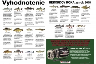 Vyhodnotenie rekordov roka za rok 2018
