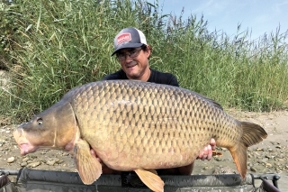 Dunajský 20,7 kg kapor s neskutočnou papuľou.