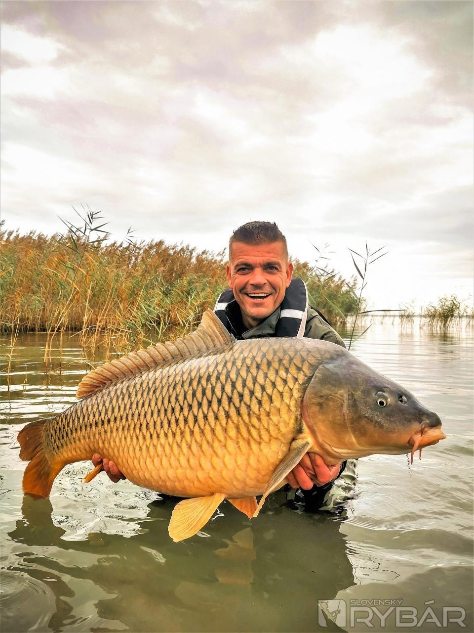 Majov nový balatonský „osobák“ 
a zároveň ryba, ktorá nám dopomohla k víťazstvu (19,55 kg).