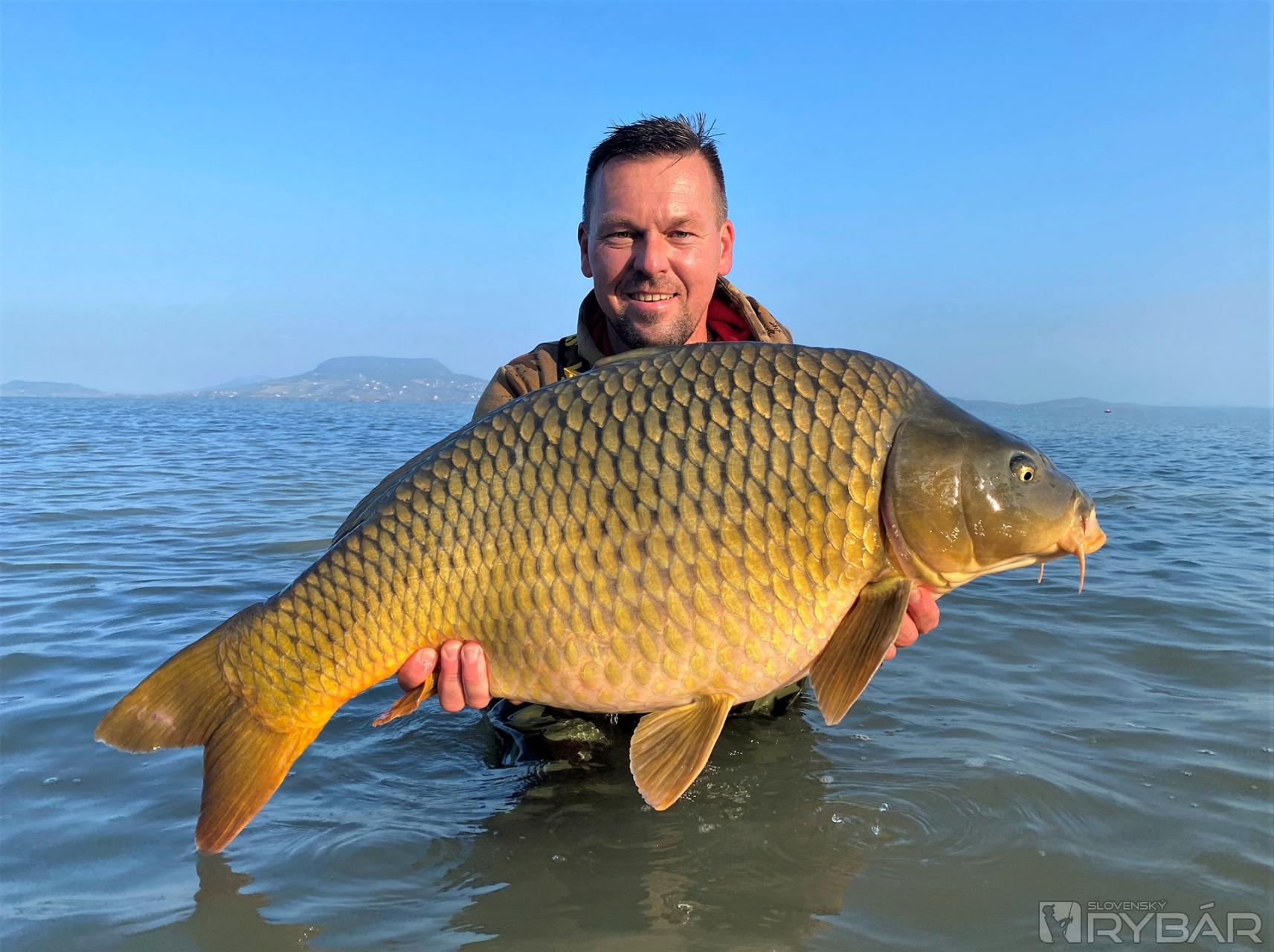 Nádherný a bezchybný balatonský šupináč.