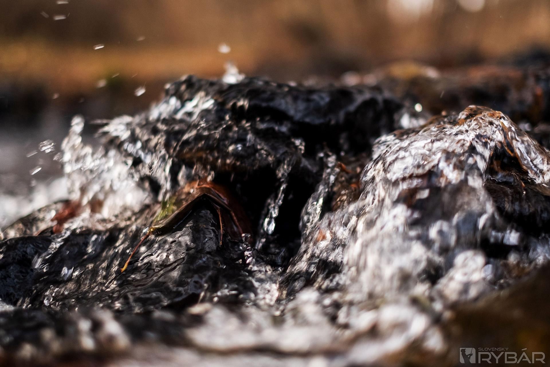 Fly dont die – výzva 6