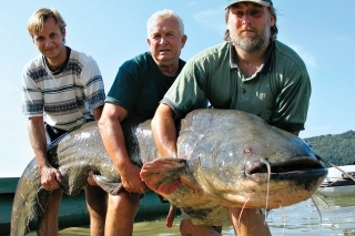 Na Slovensku sa blížime k 100 kg.