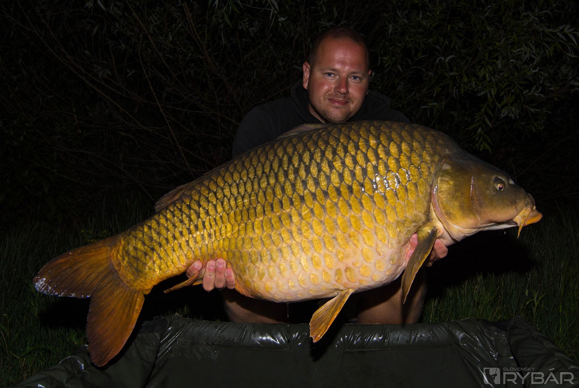 Kapor menom Buldozer 23,10 kg.