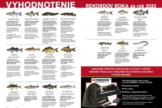 Vyhodnotenie rekordov roka