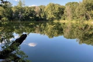 Tu niekde býva stará mama rodu
Esox lucius. Je to možné, ak sa
úspešne vyhýba nástrahám.