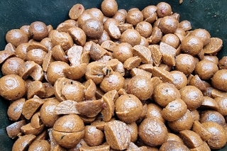 Rozrezané a pripravené boilies na kŕmenie. Liverix Kráľovská Patentka, zaliaty patentkovým a pečeňovým extraktom.