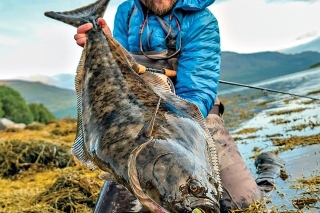 Rasmusov prvý halibut chytený s muškárkou. S váhou okolo 10 kg je to len bábätko v porovnaní s príšerami ukrývajúcimi sa v nórskych fjordoch.