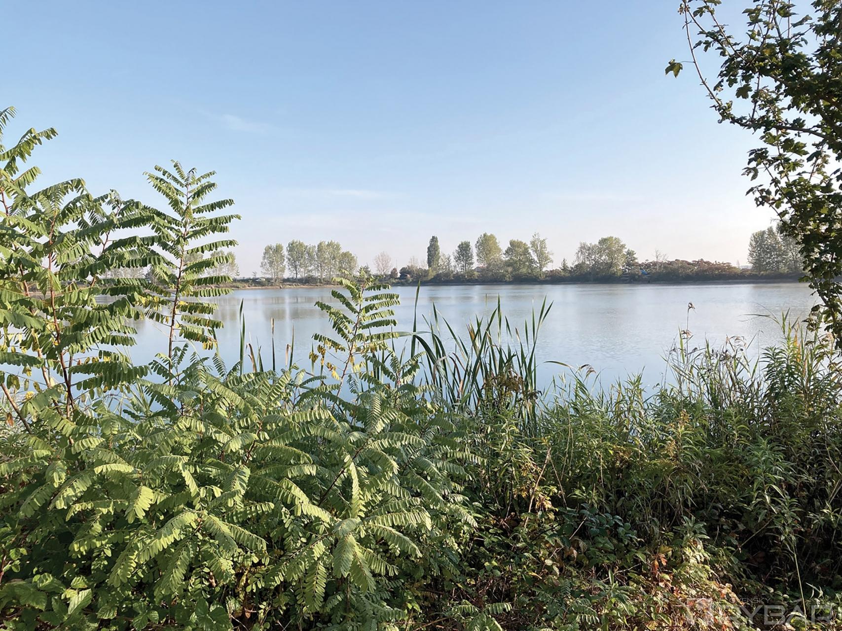 KoiLand Lake.
