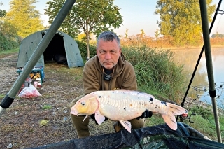 Farebné kapry KoiLand Lake 2. časť