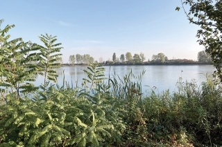 KoiLand Lake.
