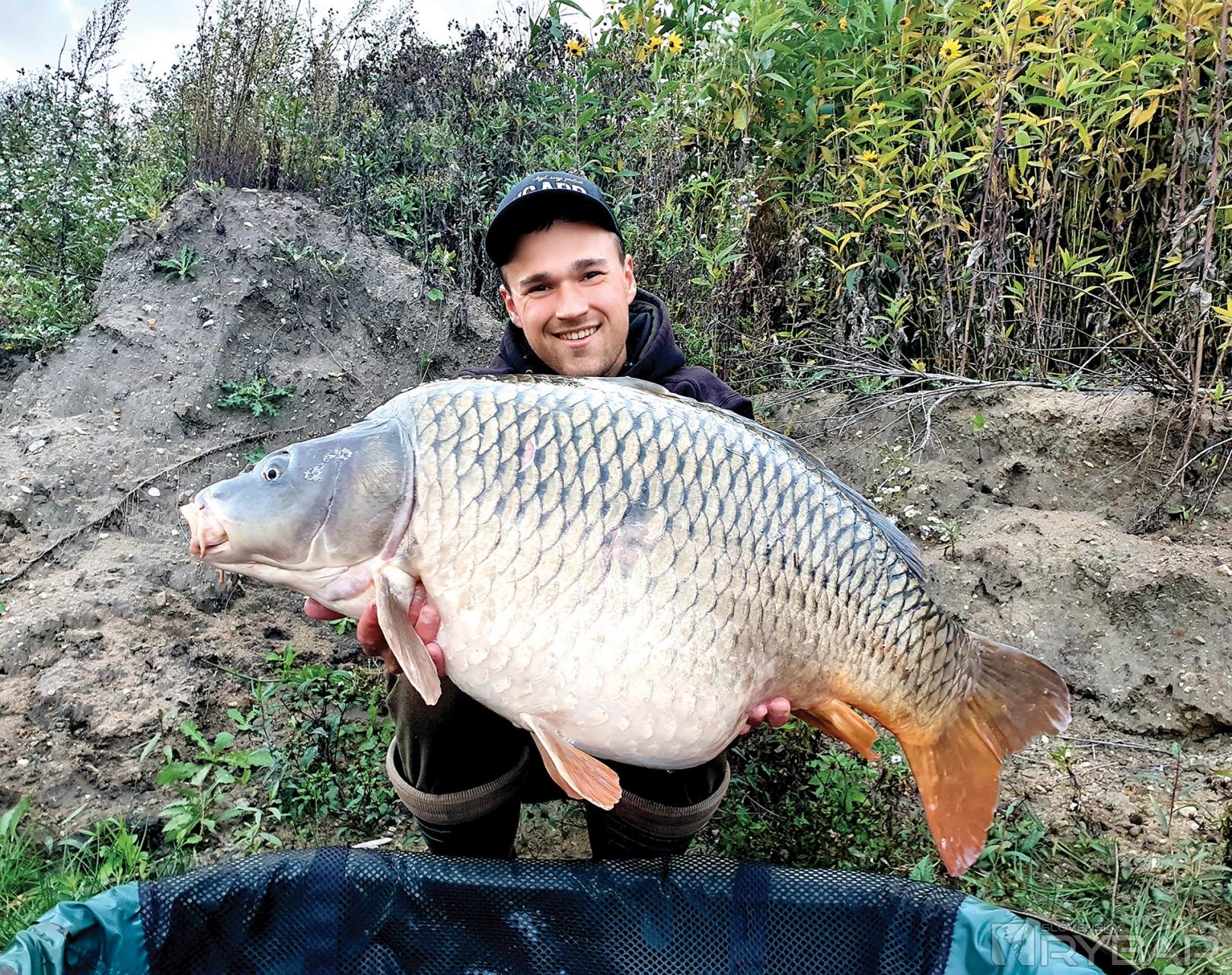 Šupináči s takouto stavbou sú nezabudnuteľní.