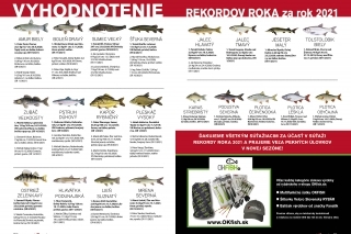 Vyhodnotenie rekordov roka