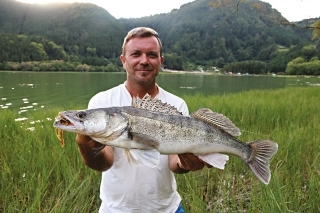 Zubáč z jazera Lagoa das Furnas.