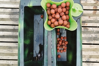 Jedna z taktík s rozmetaným boilies okolo montáže