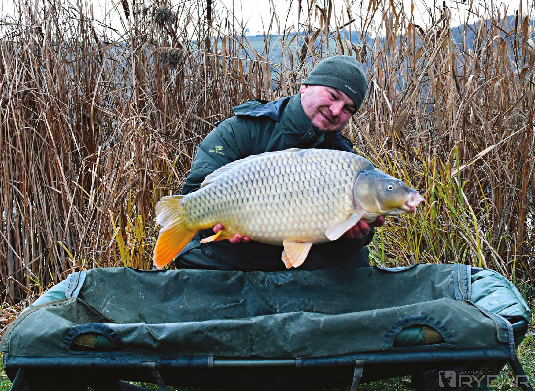 Feedrovačka na začiatku roka 7