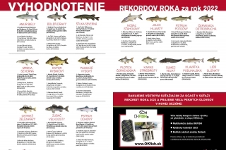 Vyhodnotenie rekordov roka