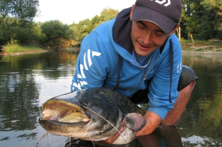 Repre-rady: Leto pri vode Skúsenosti z lovu zubáčov a sumcov