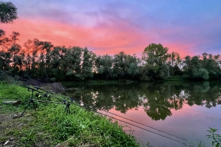 Fenomén method feeder