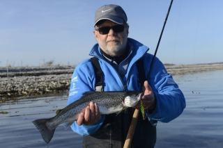 Lov morských pstruhov na Fyne