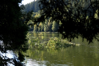 Rozmanitosť a ochrana rýb ako naše privilégium