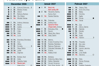 Aktivita rýb v zime