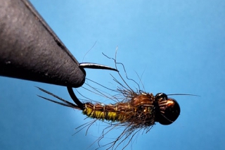 Repre-rady: Muškárim celý rok 5