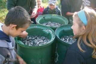 Deťom: Krúžok Mladý rybár v Štúrove 6