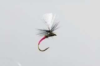 Klinkhamer 9