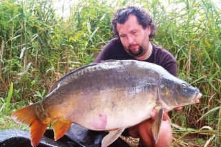 Maďarské lysce, ktoré boli ulovené na boilies na mieste prekŕmenom partiklom. Boli však do prasknutia nažraté partiklom; opäť som sa aj na tejto lokalite utvrdil v tom, že aj veľké kapry majú veľmi rady partikel.