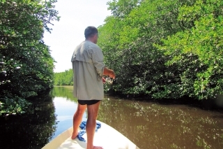 Najviac som sa tešil na rieku v mangrovovom poraste.Ja som počas presunov po rieke prehadzoval zo špicu lode prívlačou všetky nádejné miesta, no bez úspechu.