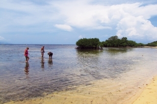 Severovýchod ostrova tvorí plytčina s vodou po kolená až 300 m od pevniny. Voda tu bola teplejšia ako vo vani. V pozadi vidieť začínajúci mangrovový porast.
