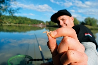 ...na háčik som dával hlavne kostňáky.