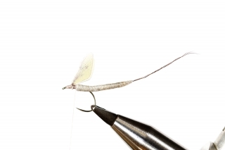 3. Naviažeme krídelká Mayfly Fly Wings.