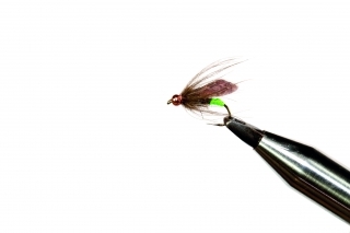 Diving caddis